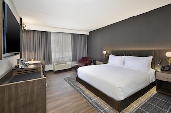 Room, 1 King Bed, Mobility Accessible (Roll-in Shower)