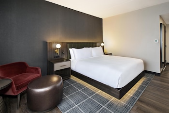 Room, 1 King Bed, Accessible (Roll-in Shower)