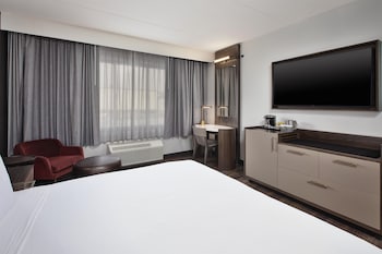 Room, 1 King Bed, Mobility Accessible (Roll-in Shower)