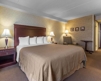 Business Room, 1 King Bed, Non Smoking