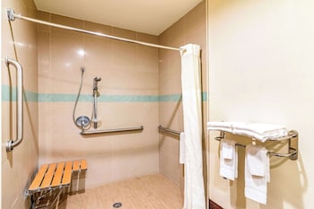 Standard Room, 1 King Bed, Accessible, Non Smoking (Roll-In Shower)