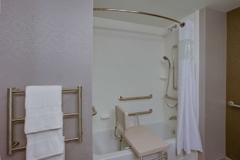 Room, 1 King Bed, Accessible, Bathtub