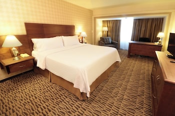 Premium Room, 1 King Bed