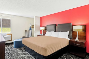 Room, 1 King Bed, Non Smoking