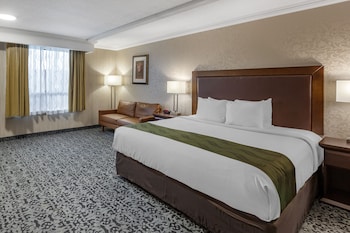 Room, 1 King Bed, Non Smoking