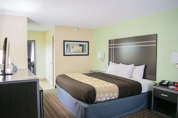 Standard Room, 1 King Bed, Non Smoking