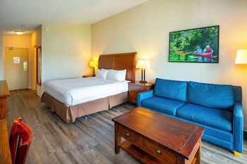 Room, 1 King Bed with Sofa bed, Non Smoking (Lakefront)
