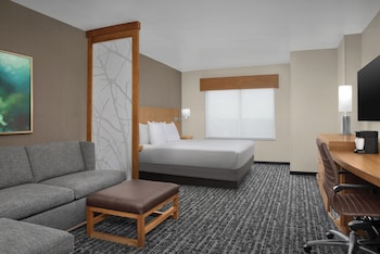 Room, 1 King Bed with Sofa bed (High Floor)