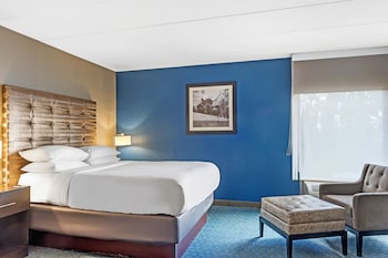 Room, 1 Queen Bed (Whirlpool)