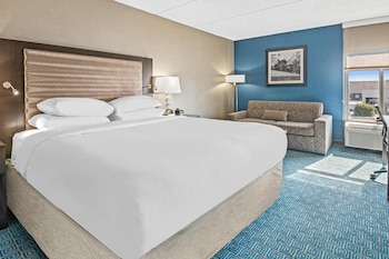 Room, 1 King Bed with Sofa bed
