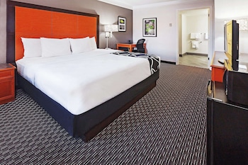 Room, 1 King Bed, Accessible, Non Smoking (Mobility, Bathrub w/Grab Bars)