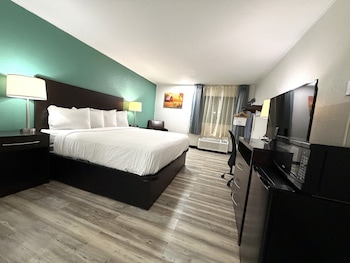 Room, 1 King Bed, Mobility Accessible, Non Smoking (Roll-in Shower)