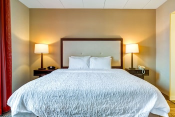 1 King Bed Studio Suite w/Sofabed