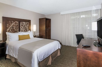 Room, 1 Queen Bed, Accessible, Non Smoking (Mobility, Roll-In Shower)