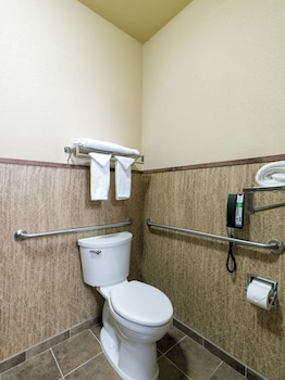 Standard Room, 2 Queen Beds, Roll-in Shower, Non Smoking (Communications Accessible)