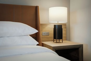 Premium Room, 1 King Bed with Sofa bed (Mobility/Hearing Access, Roll-in Shwr)