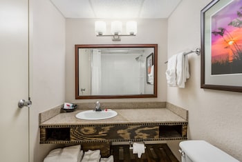 Room, 1 King Bed, Non Smoking, City View