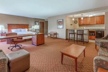 Studio Suite, 1 King Bed, Non Smoking