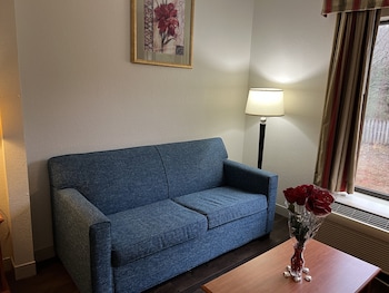 Room, 1 King Bed with Sofa bed, Non Smoking