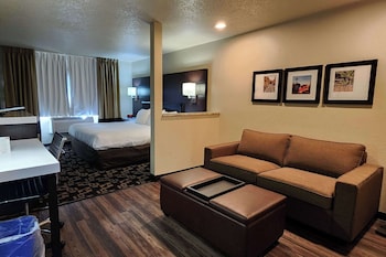 Standard Room, 1 King Bed with Sofa bed, Non Smoking