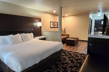 Standard Room, 1 King Bed with Sofa bed, Non Smoking