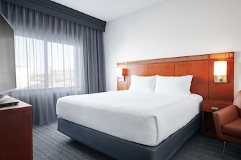 Suite, 1 King Bed with Sofa bed