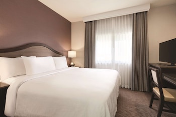 Suite, 1 Queen Bed, Accessible (Roll-In Shower)