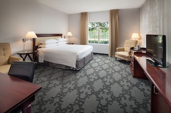 Accessible King Room