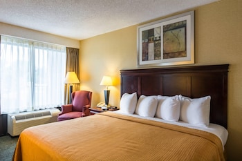 Standard Room, 1 King Bed, Non Smoking