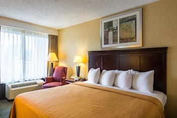 Standard Room, 1 King Bed, Non Smoking