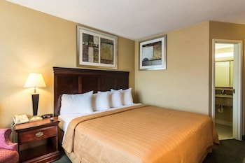Standard Room, 1 King Bed, Non Smoking