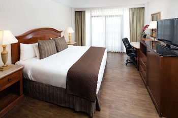 Room, 1 King Bed, Non Smoking