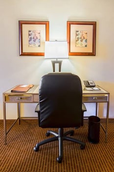 Deluxe Room, 1 King Bed (High Floor)