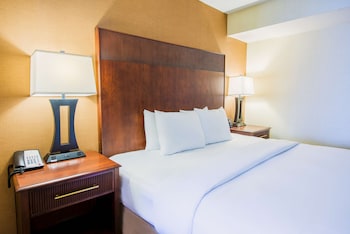 Premium Suite, 1 Bedroom