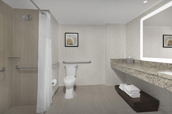 Room, 1 King Bed, Accessible (Mobility and Hearing)