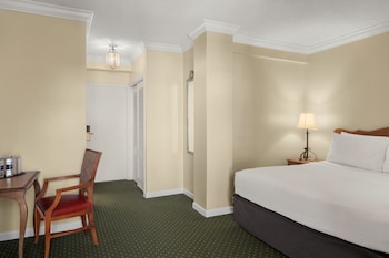 Deluxe King View (city or courtyard view)