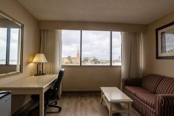 Room, 1 King Bed