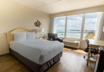 Room, 1 Double Bed