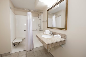 Deluxe Room, 1 King Bed, Accessible, Non Smoking (Roll-In Shower)