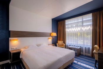 Comfort Room, 1 King Bed