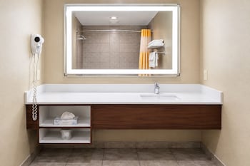 Studio Suite Kitchenette 1 king bed