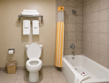Studio Suite Kitchenette 1 king bed