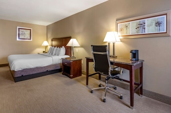 Standard Room, 1 King Bed, Accessible, Non Smoking
