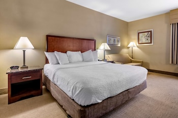 Standard Room, 1 King Bed, Non Smoking, Refrigerator & Microwave
