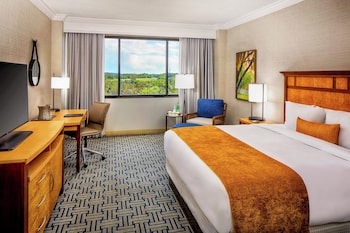 Suite, 1 King Bed, Mobility Accessible (Mobility, Roll-in Shower)