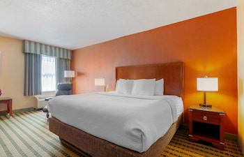 Standard Room, 1 King Bed, Accessible, Non Smoking