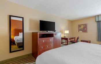 Standard Room, 1 King Bed, Accessible, Non Smoking