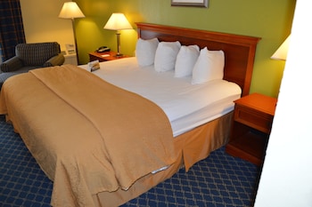 Room, 1 King Bed, Non Smoking