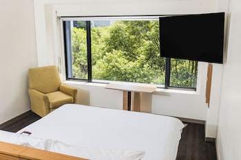Standard Room, 1 King Bed, Park View