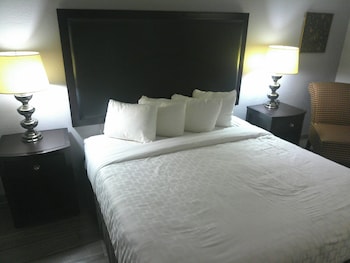 Superior Room, 1 King Bed, Accessible (Smoke-Free, Roll-In Shower)
